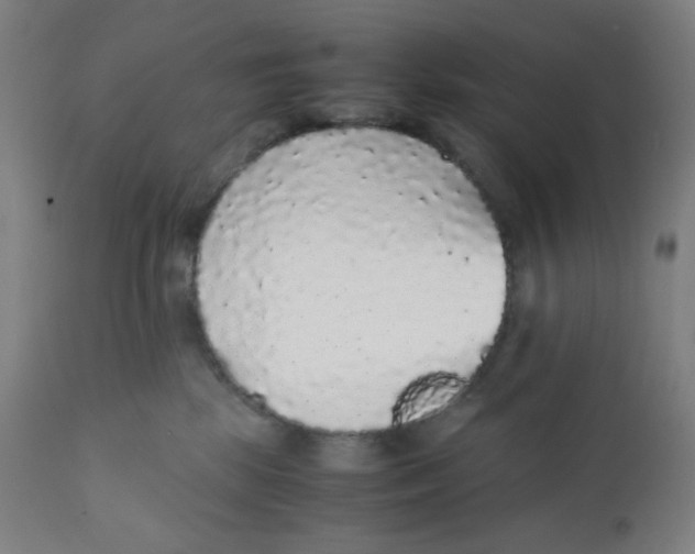 X0000111880281200908201304