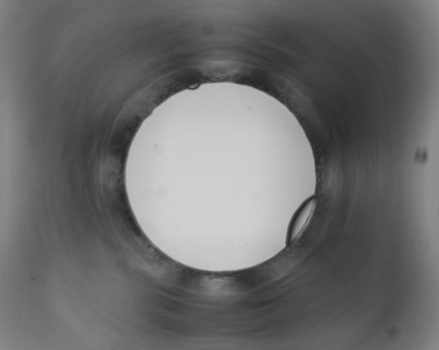 X0000111880283200908201304