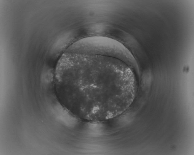X0000111880284200908201304