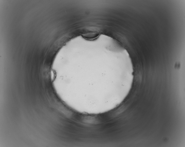 X0000111880285200908201305