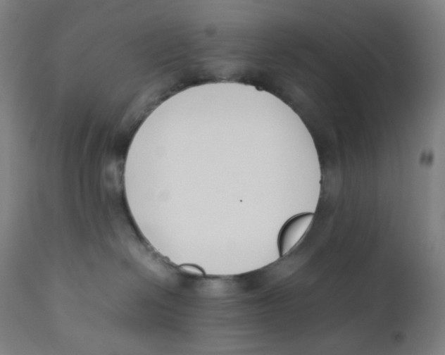 X0000111880286200908201305