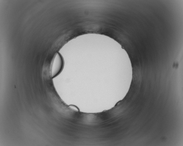 X0000111880287200908201305