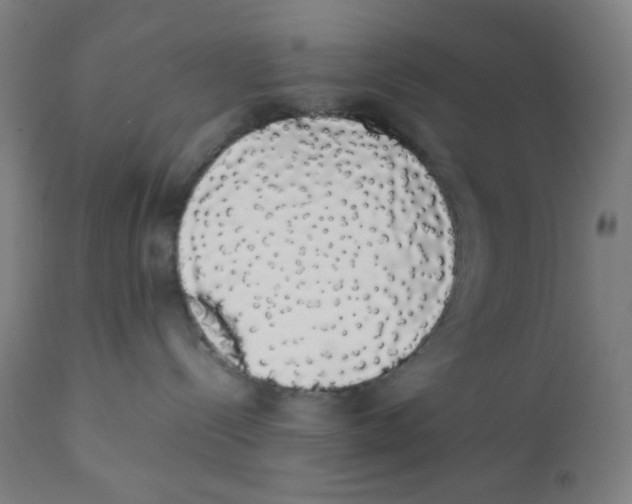 X0000111880288200908201305