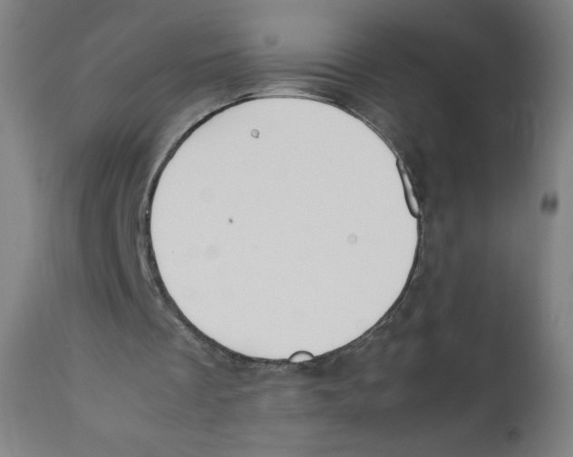 X0000111880289200908201304