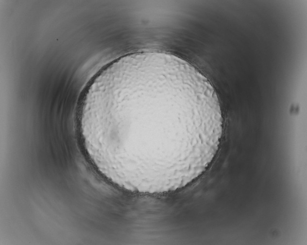 X0000111880290200908201304