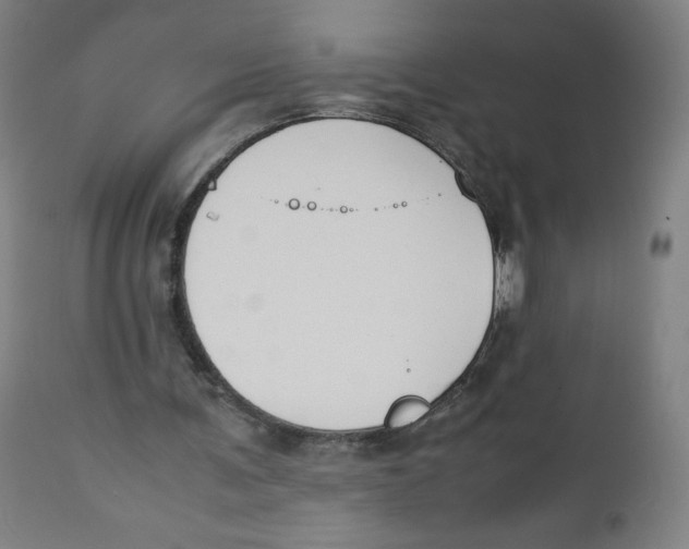 X0000111880291200908201304