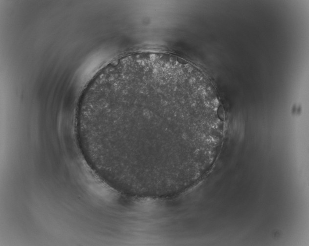 X0000111880293200908201304