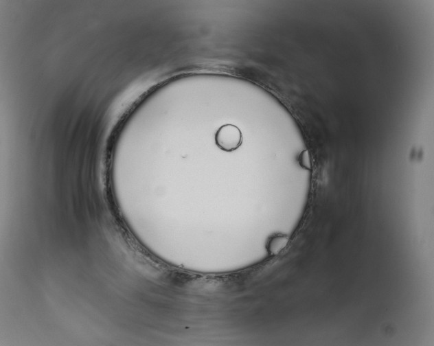 X0000111880294200908201304