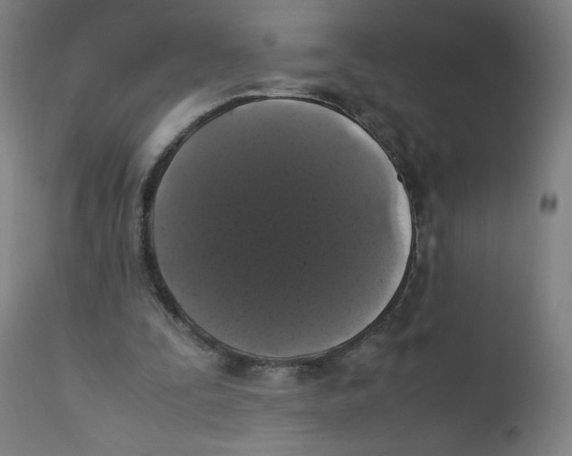 X0000111880295200908201304