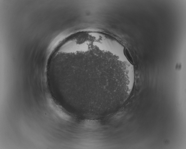 X0000111880296200908201304