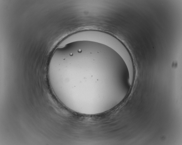 X0000111880297200908201304