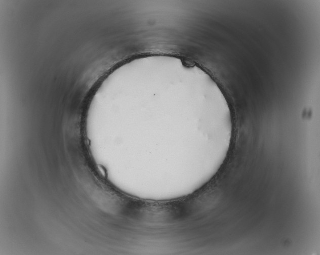 X0000111880299200908201304