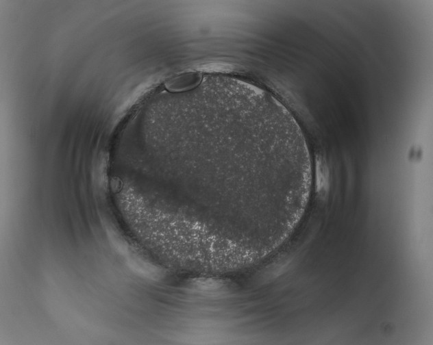 X0000111880300200908201304
