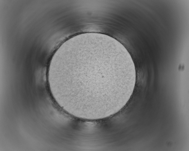 X0000111880302200908201304