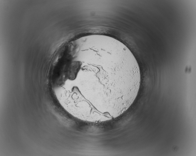 X0000111880303200908201304