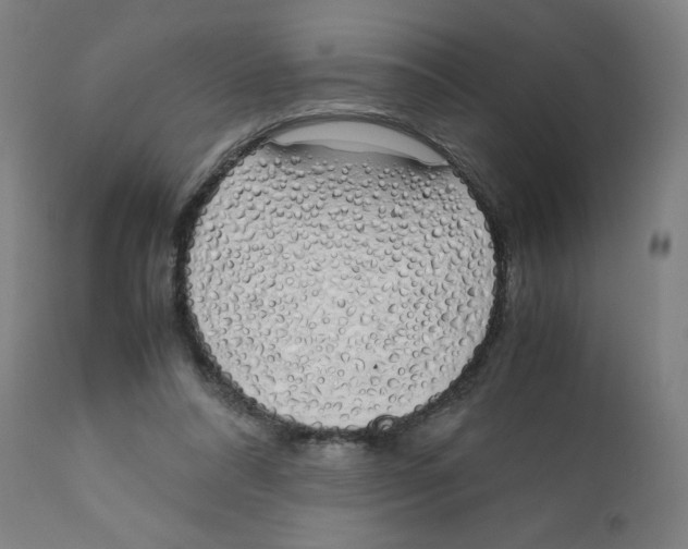 X0000111880304200908201304