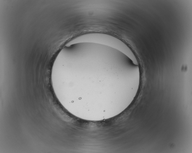 X0000111880305200908201303
