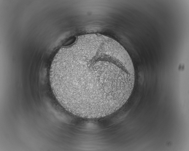 X0000111880308200908201303