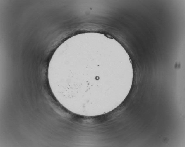 X0000111880309200908201303