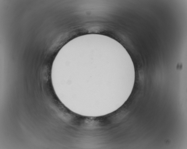 X0000111880311200908201303