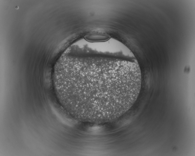 X0000111880312200908201303