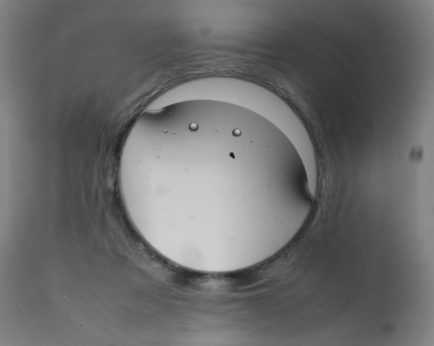 X0000111880313200908201303