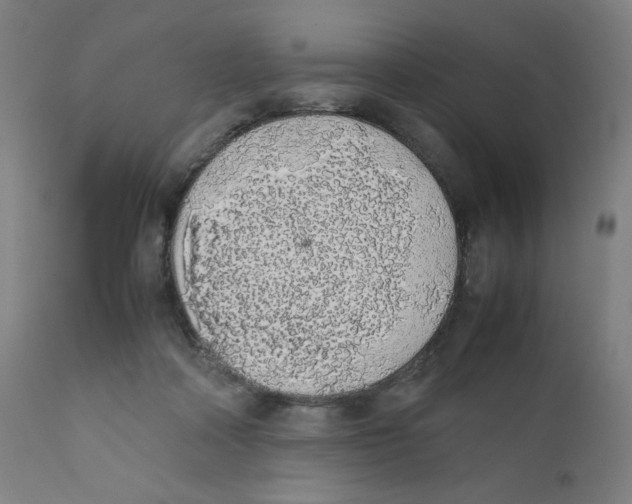 X0000111880314200908201303