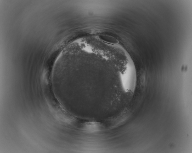 X0000111880316200908201303