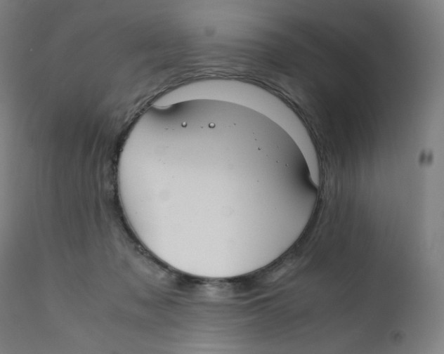 X0000111880317200908201303