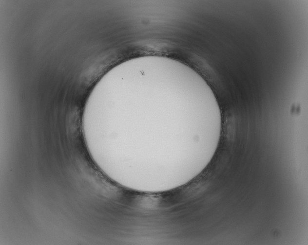X0000111880318200908201303