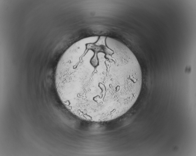 X0000111880319200908201303