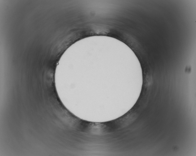 X0000111880321200908201303
