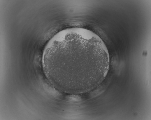 X0000111880322200908201303