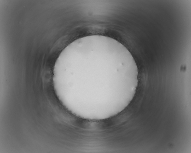 X0000111880323200908201303