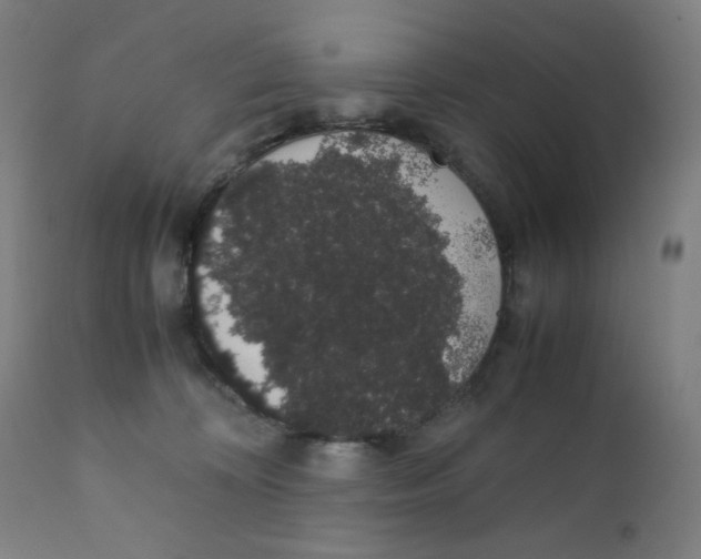 X0000111880324200908201303