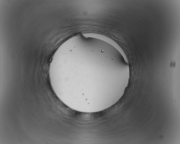 X0000111880325200908201303
