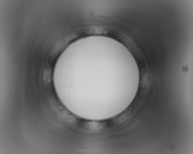 X0000111880326200908201303