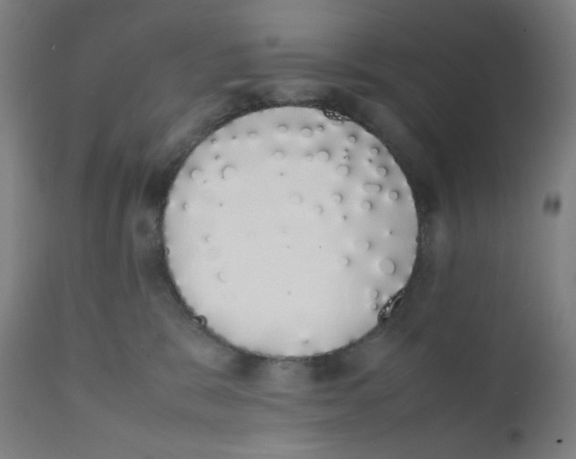 X0000111880327200908201303