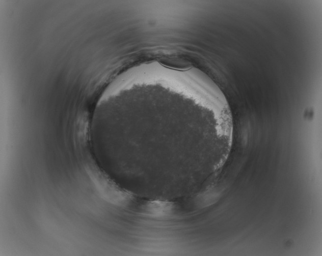 X0000111880328200908201303