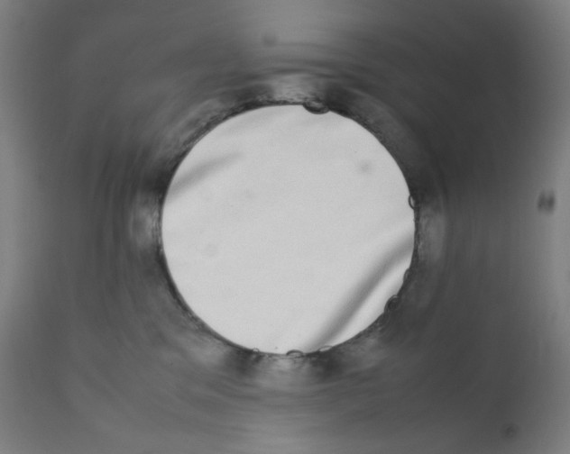X0000111880329200908201303
