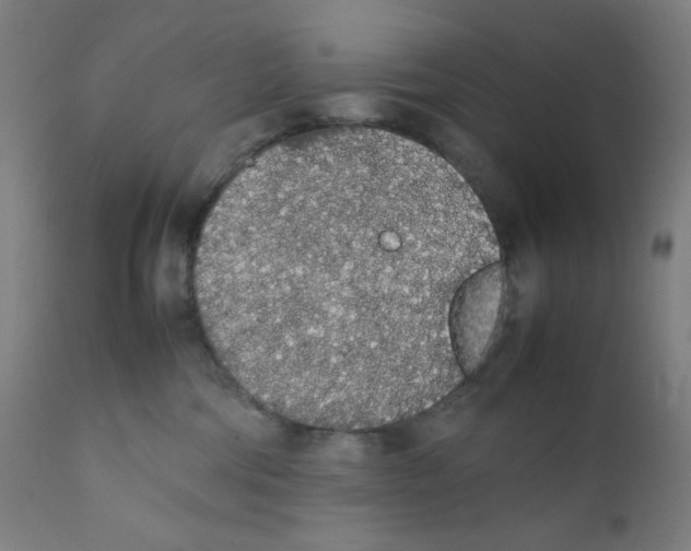 X0000111880330200908201303