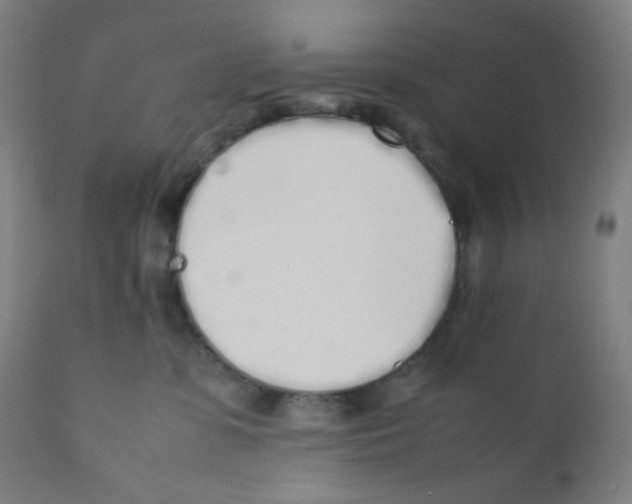 X0000111880331200908201303