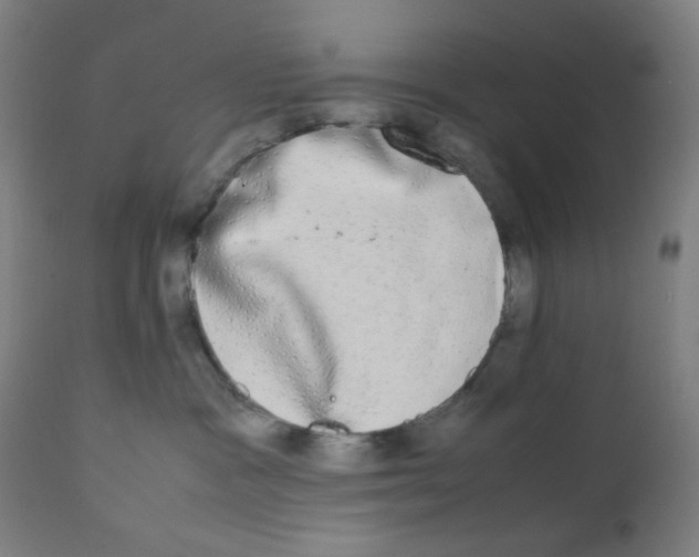 X0000111880333200908201303