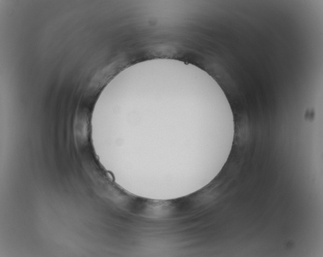 X0000111880334200908201303
