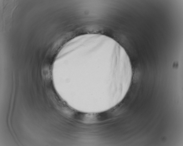 X0000111880335200908201303