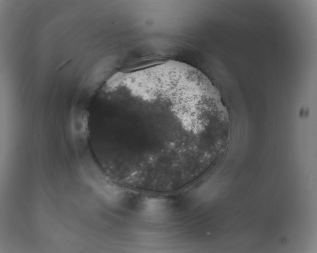 X0000111880336200908201303