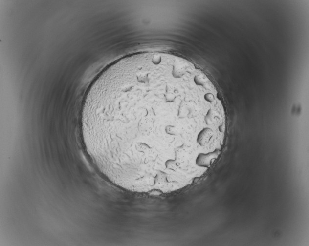 X0000111880337200908201302