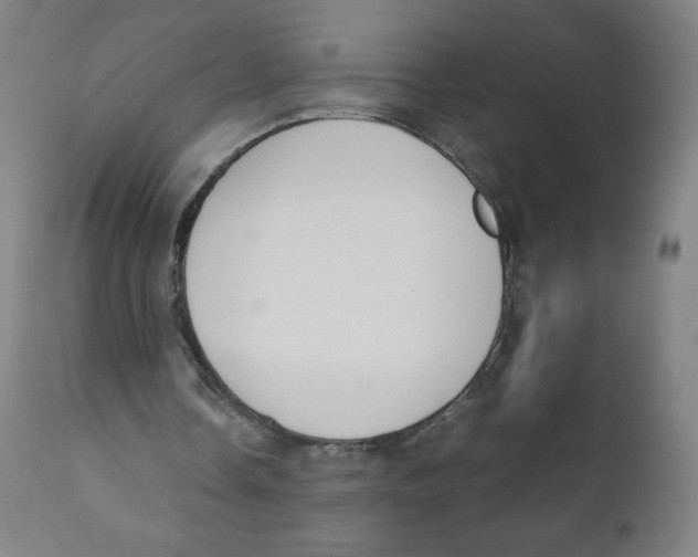 X0000111880338200908201302