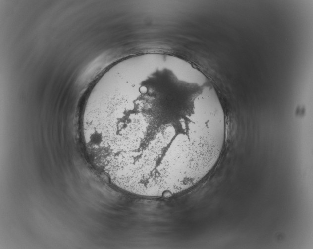 X0000111880339200908201302