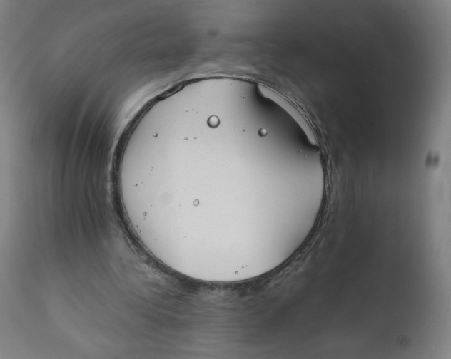 X0000111880340200908201302